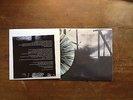 MORE THAN LIFE - BRAVE ENOUGH TO FAIL 1ST PRESS /100 WHITE SPLATTER, BASEMENT