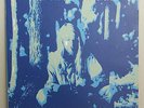 Steve Warner(self title)Aussie psych-folk,released on private Candle records1976