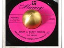 The Eagles What A Crazy Feeling R&B ROCKER DOO WOP SOUL MOD HEAR 45