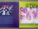 GTO's - Girls Together Outrageously - Permanent Damage