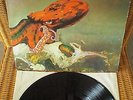 Gentle Giant- Octopus- Vinyl LP- 1972- Made In Germany