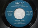 THE SUNDOWNERS 45 Rockin Spot CIRCLE C rare killer rockabilly promo VG+