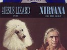 Nirvana Jesus Lizard split 7