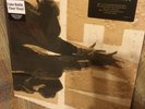 Pearl Jam Ten Coke Bottle Vinyl Sealed