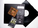 Deus Worst Case Scenario Ltd Ed 12
