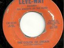 GARAGE  - PSYCHE 45 by THE KNIGHTS OF THE ROAD HEAR IT