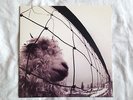 Pearl Jam vs. original vinyl LP 1993 Epic Z53136 gatefold