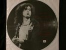 LED ZEPPELIN White Summer - Limited Live Pic Disc - LP Vinyl - Not TMOQ TAKRL