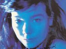 NOBUYOSHI ARAKI HANDSIGNIERTES COVER ARTWORK VINYL LP BJÖRK VP: 150,-€