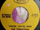 THE VIBRATIONS CAUSE YOU'RE MINE / I TOOK AN OVERDOSE - EPIC RECORDS US ORIGANAL