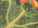 Catapilla - Changes
