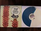 The Story So Far Under Soil and Dirt White/Blue /500 Vinyl LP wonder years NFG