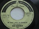 RARE SOUL 45/ DON GARDNER 