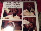 Muddy Waters  Folk Singer Mobile Fidelity LP LTD edition