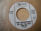 THE WANDERERS - YOU CAN'T RUN AWAY FROM ME - UNITED ARTISTS W/DEMO