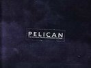 PELICAN - the fire in our throats will beckon the thaw  2-LP  VINYL  FOC