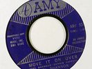 Garage Rock 45   Del Shannon   Move It On Over   Amy   mp3 VG+