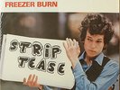 Bob Dylan-Freezer Burn/Strip Tease-Seth Cole-2 RECORD SET