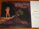 BIG SLEEP BLUEBELL WOOD   UK PEGASUS LP 1971 1ST PRESS A/1 B/1   PROG PSYCH MAN