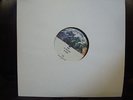 PRINCE PLANET EARTH RECORD LP PROMO