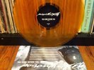 Poison The Well - You Come Before You LP (1st Pressing, Translucent Gold) RARE
