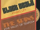THE SPINS 45 - VALLEY OF TEMPLES - SPACEY ITALO COSMIC FUNK DISCO DUB oHEARo