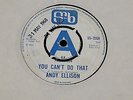 Andy Ellison - Cornflake Zoo (SNB UK Orig DEMO 7