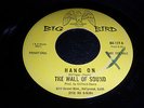 WALL OF SOUND - HANG ON - BIG BIRD