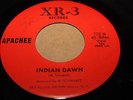 GARAGE PSYCH FUZZ 45/ APACHEE 