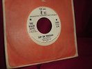 The Beach Boys This Whole World / Slip On Through PROMO 45 RPM Vinyl