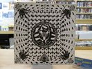 FISH EYE LENS Take Another Ride LP Rockadelic 1990 Limited Numbered Psych Vinyl