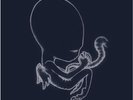 SIGUR ROS - AGAETIS BYRJUN [LPX2]