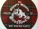 Mighty Mighty Bosstones Don't Know How To Party Plaid 12