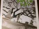 1,039/Smoothed Out Slappy Hours [LP] by Green Day vinyl