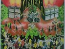 PANTERA: PROJECTS in the JUNGLE rare VINYL LP metal magic ORIG US 1984'
