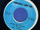 1263 LARRY MARSHALL-HAVE GOT TO GO-MARSHALL AND TOE--REGGAE 45 7