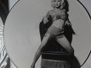 PICTURE DISC 12 
