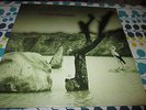 TONTON MACOUTE - TONTON MACOUTE - NEW