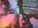 ABBOTT, Luke - Wysing Forest - LP + MP3 download code