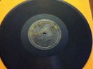 Charlie Jackson - Looking for a woman/ Long Gone (Paramount 12602) Blues