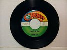 Lemon Fog - Echoes of Time/Summer Orbit 1117 & 1123 Two Rare Classic 45RPM VG