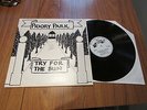PRIORY PARK, TRY FOR THE SUN-WILD DOG PRIVATE PRESS signed RARE FOLK UK LP 1970s