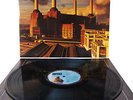 Pink Floyd Animals