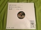 The Sound of Animals Fighting Tiger & The Duke Test Pressing fall of troy rare