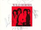 WILD HORSES 