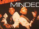 BOOGIE DOWN PRODUCTIONS - Criminal Minded - Vinyl (5x7
