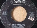 Wild Girl Group Tittyshaker 45 THE TAMMYS Egyptian Shumba UNITED ARTISTS   HEAR