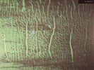 DOZZY, Donato - K - 2xLP + MP3 download code