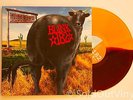 BLINK 182 Dude Ranch Vinyl LP rare brown/orange split enema of the state s/t