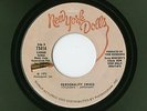 Classic 70s Glam/Punk 45: New York Dolls, Personality Crisis / Trash, Merc 73414